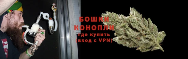 дживик Новодвинск