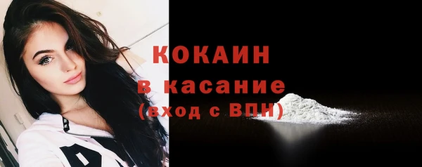 тгк Новозыбков