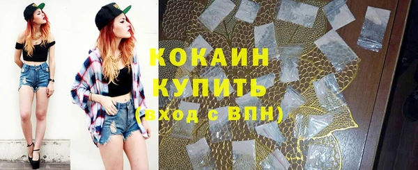 тгк Новозыбков