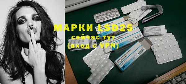 тгк Новозыбков