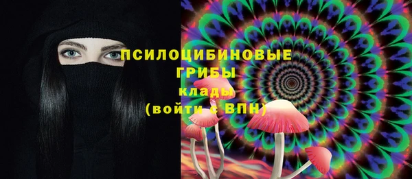 дживик Новодвинск