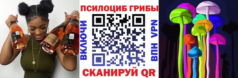 Галлюциногенные грибы Magic Shrooms  Купить закладки  Каменногорск 